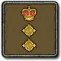Colonel