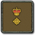 Lieutenant Colonel
